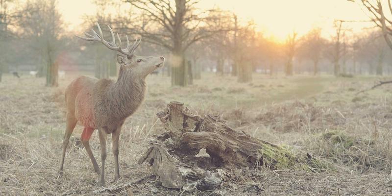 云原生架构下的软件开发：从单体应用到微服务的平滑迁移策略与系统集成实践