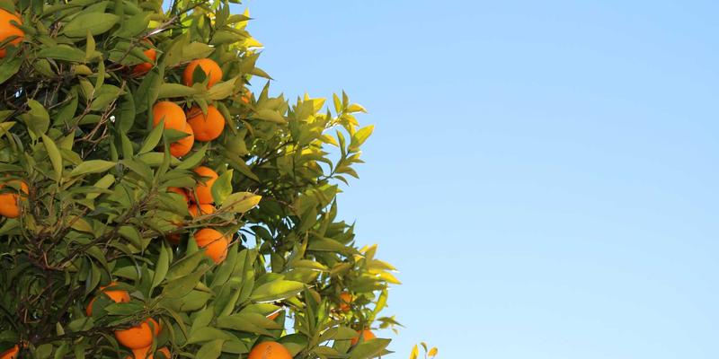 前端工程化进阶：模块化、构建工具与现代化框架的全链路优化策略