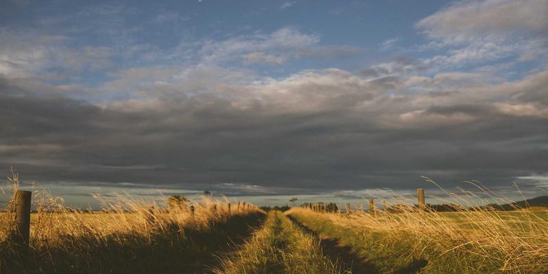 响应式编程统一模型：开发168技术服务如何赋能前后端高效开发与IT外包实践