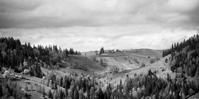 系统集成与软件开发168：现代企业数字化转型的双引擎