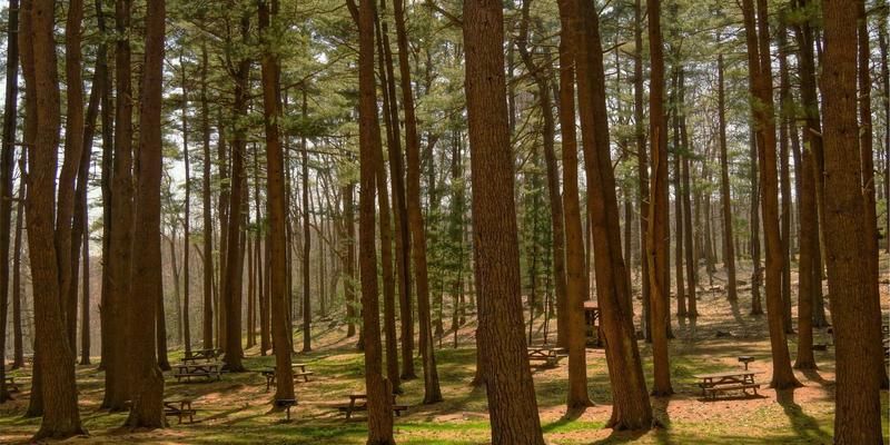 软件开发4.0时代:从开发168到数字化解决方案的战略跃迁