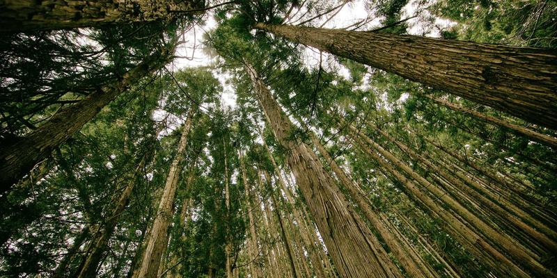 软件开发4.0时代:系统集成与数字化解决方案如何重塑企业竞争力