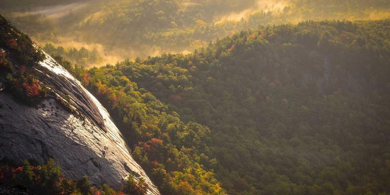 软件开发50：IT外包与技术咨询的168小时高效开发策略