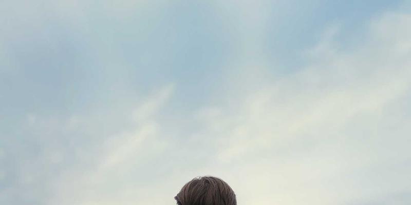 软件开发96:系统集成、技术服务与技术咨询的协同进化