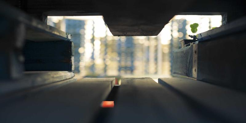 软件开发99：揭秘开发168模式与IT外包的融合之道