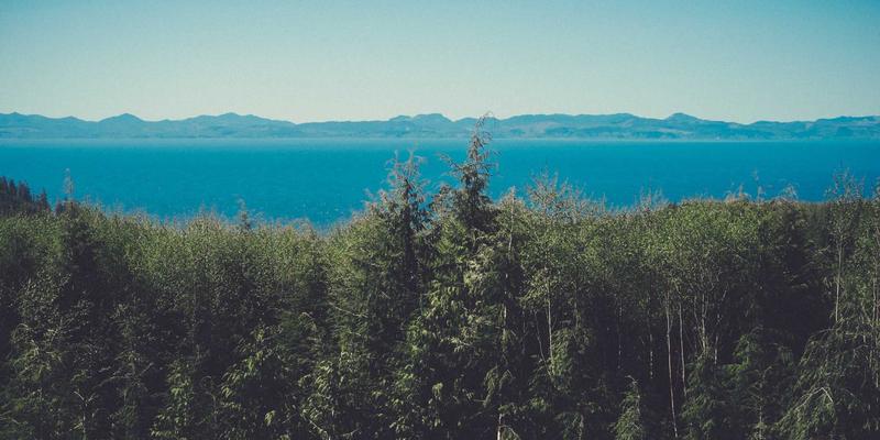 软件开发新纪元：技术服务、IT外包与系统集成的战略融合