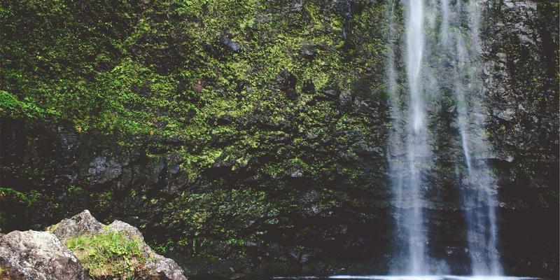 驾驭复杂业务：领域驱动设计（DDD）如何重塑软件开发与IT外包项目的成功